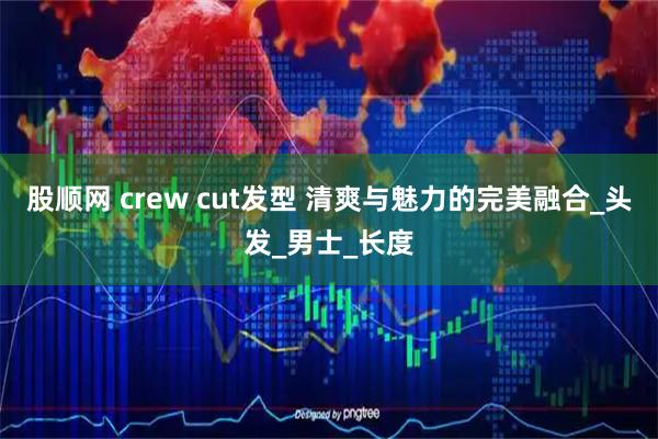股顺网 crew cut发型 清爽与魅力的完美融合_头发_男士_长度