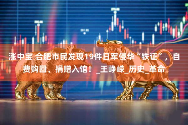 涨中宝 合肥市民发现19件日军侵华“铁证”，自费购回、捐赠入馆！_王峥嵘_历史_革命
