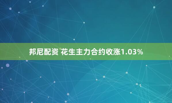 邦尼配资 花生主力合约收涨1.03%