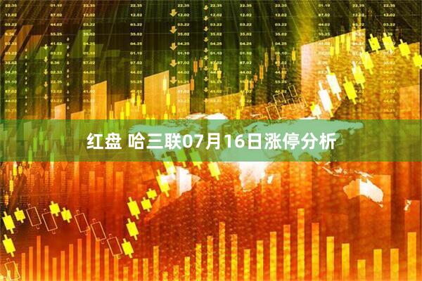 红盘 哈三联07月16日涨停分析