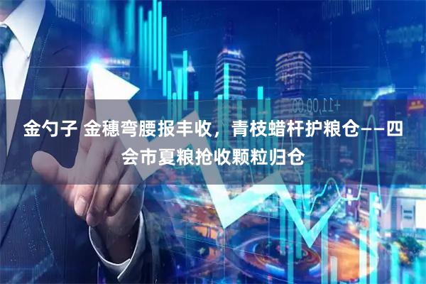金勺子 金穗弯腰报丰收，青枝蜡杆护粮仓——四会市夏粮抢收颗粒归仓