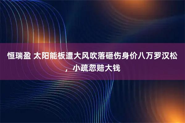 恒瑞盈 太阳能板遭大风吹落砸伤身价八万罗汉松,小疏忽赔大钱