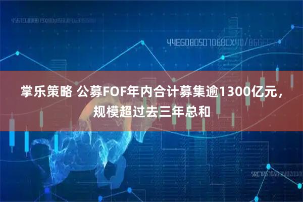 掌乐策略 公募FOF年内合计募集逾1300亿元，规模超过去三年总和